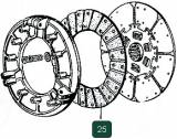 Ring frictional a clutch plate